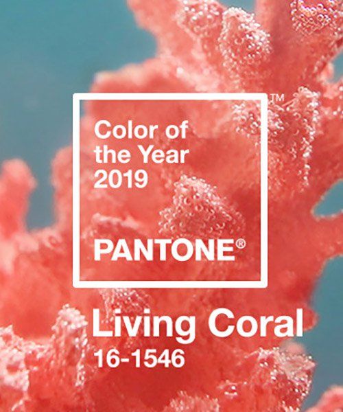 Como usar a cor do ano de 2019: Living coral